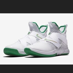 Lebron Soldier 12 Nike Irish Hi Tops size 11C